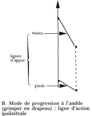 dupuis2_modes_progression.JPG (8898 octets)
