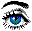 eye~1.gif (2843 octets)